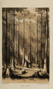 Gum Forest, pintura a aguarela de Robert Elwes (1819–1878), um jovem cavalheiro britânico rico de Norfolk